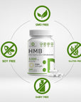 DEAL SUPPLEMENT Ultra Strength HMB Supplements 3,000mg Per Serving, 240 Capsules | Third Party Tested | Supports Muscle Growth, Retention & Lean Muscle Mass | Fast Workout Recovery