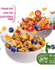 All Inklusive Berries Cereal (2 Pack) - Blueberries & Strawberries Healthy Cereal w/ ZERO Sugar Added Breakfast Cereal Made w/ Oats, Rice & More - High Fiber Cereal w/ Vitamins & Mineral (35.2 oz)