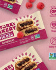 Natures Bakery Gluten Free Fig Bars Raspberry Real Fruit Vegan NonGMO Snack bar 1 box with 6 twin packs 6 twin packs