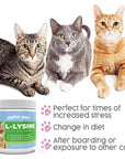 Alpha Paw - Human Grade for Pets - Cat Lysine Supplement - Extra Servings 5-10 Month Supply - Natural Lysine (8 Ounces/225 Grams)