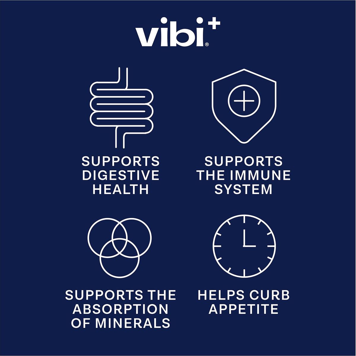 Vibi Blueberry Pomegranate Acai Prebiotic Water  Digestive Health Support  Sugar Free High Fiber Flavored Drink  Keto Vegan Healthy Low Carb  169 fl oz  Pack of 12