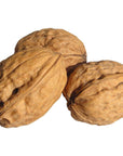 In Shell Walnuts 2 Lbs  Large Natural California Walnuts  Great Source of Omega 3  Fresh New Crop  Bursting with Flavor  Farm Fresh Nuts Brand