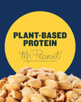 Planters Salted Peanuts 10 Count Pack of 6