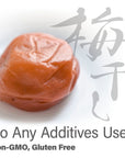 Umeboshi  Japanese Pickled Plums Paste Using the Premier Brand KISHU NANKOUME 100 Vegan Allergen  Additivefree