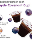 Mayde New Covenant Prefilled Communion Cups and Wafer Set 100 Count Prefilled Double Lid Communion Cups Containing Concordia Grape Juice  Wafer Set with 1 Year Shelf Life