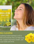 WeightWorld Mullein Leaf Tea Bags  Lungs Cleanse  Mullein Tea for Detox and Respiratory Support  CaffeineFree  NonGMO  40 Tea Bags