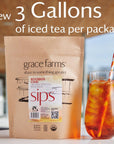 Grace Farms ROOIBOS CHAI ORGANIC ICED TEA Twelve 1qt Brew Bags 3 Gallons  Refreshing and Spiced Naturally Sweet SugarFree  Easy Cold Brew