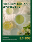 GLDNT Organic Sencha Tea Bags Natural Organic Sencha Green Tea Fresh  Smooth Flavor Iced  Hot Tea 100 Count