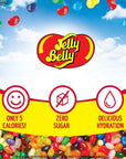 Jelly Belly Berry Blue Powder Drink Mix  12 boxes 72 sticks  Sugar Free  Delicious Makes 72 flavored water beverages