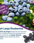 Nestor Premium Dried Big Blueberries 1 lb NonGMO No Preservatives Unsulfured Sweetened Dehydrated Blueberry Dried Fruits Snacks for Baking Oatmeal SaladsGrown in OR