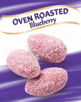 Blue Diamond Almonds, Blueberry Flavored Snack Nuts, Single Serve Bags (1.5 Oz. Tubes, Pack of 12)