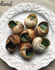 Roland Foods Escargots Giant Snails with Shells Specialty Imported Food 776Ounc Pack of 1