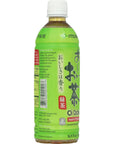 Teas Tea Ocha Green Tea 169 oz