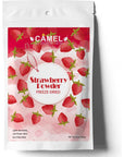 CAMEL Freeze Dried Strawberry Powder Premium Culinary Grade 10 oz 100% Natural Sweetened Baking Latte Smoothies Beverage High in Antioxidant Detox Gluten Free Vegan