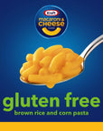 Kraft Gluten Free Original Macaroni  Cheese Dinner 12 ct Pack 6 oz Boxes