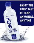 Hemp Living Extract Infused water Enhanced Hydration 95 pH Balance Smooth Taste Essential Water Drinking Alkaline Water 169 FL Oz  24 Pack