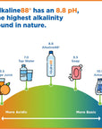 Alkaline88 Purified Ionized Water with Himalayan Minerals  Electrolytes for smooth taste 12 pack 1Liter bottled water Perfectly balanced for your body with 88ph100 Recyclable