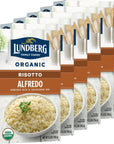 Lundberg Family Farms  Traditional Italian Risotto Alfredo Convenient Side Dish 20 Minute Cook Time Pantry Staple NonGMO GlutenFree USDA Certified Organic 55 oz 6Pack