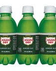 Canada Dry Ginger Ale Soda 10 Fl Oz Cans 6 Pack