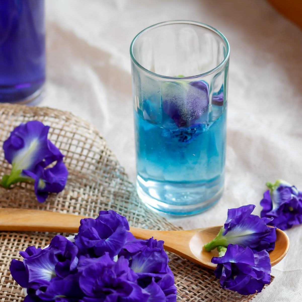 Zyanna Blue Pea Tea  Butterfly Pea Flower Tea with Lemongrass 353oz100g50 Cups Caffeine Free Drinks Food Coloring Iced Teas Cocktails  100 Natural  Brew Hot or Cold