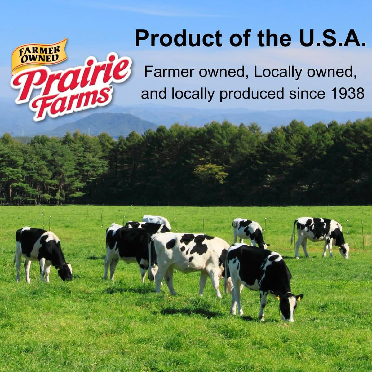 Prairie Farms  Chocolate Milk Shelf Stable 1 Low Fat Milk Chocolate Milk Boxes Vitamin D Kosher  8 FL oz 27 Pack