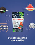 HTeaO Iced Tea Sachets  Watermelon Black Tea Mix for Cold Brew  4 Gallons Per Package  Real TexasStyle Flavored Iced Tea in 5 Minutes Pack of 8 Sachet Bags