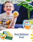 Dole Fruit Bowls Mandarin Oranges in 100 Juice Snacks 4oz 24 Total Cups Gluten  Dairy Free Bulk Lunch Snacks for Kids  Adults