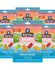 Rip Van Low Sugar Gummy Bears  Healthy Real Fruit Snacks GlutenFree Mixed Fruit Flavors 6 Pack 353oz Bags