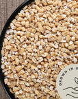 Steel Cut Oats Organic Oatmeal Bulk 48 lb  Irish Oatmeal Cut Oat Groats by Be Still Farms  100 Whole Grain  High Protein Cereal  USDA Certified  USA Grown  Vegan  NonGMO  Sugar Free