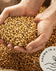 Be Still Farms Organic Soybeans Bulk 48 lb  Soy Beans Dry  aka Soya Nuts Great for Edamame Soy Milk Tofu  High in Protein Fiber  USA Grown  USDA Certified  Vegan  NonGMO  Gluten Free