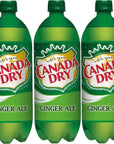 Canada Dry Ginger Ale 1 Liter Bottles Pack of 3 with Bay Area Marketplace Napkins