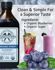 Woodcutters Bitters Blueberry Beverage Syrup USDA Organic A Living Syrup With The Taste of The Forest In Every Drop 85 oz Pack of 2  IncludesFree Cinnamon from Rhino Fine Foods071oz