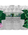 Poland Spring Brand 100 Natural Spring Water 169 oz Plastic Bottles Pack of 24