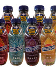 Snapple Elements 8 159 Bottle Variety Pack Earth Fire Rain Air Total of 1272 Oz