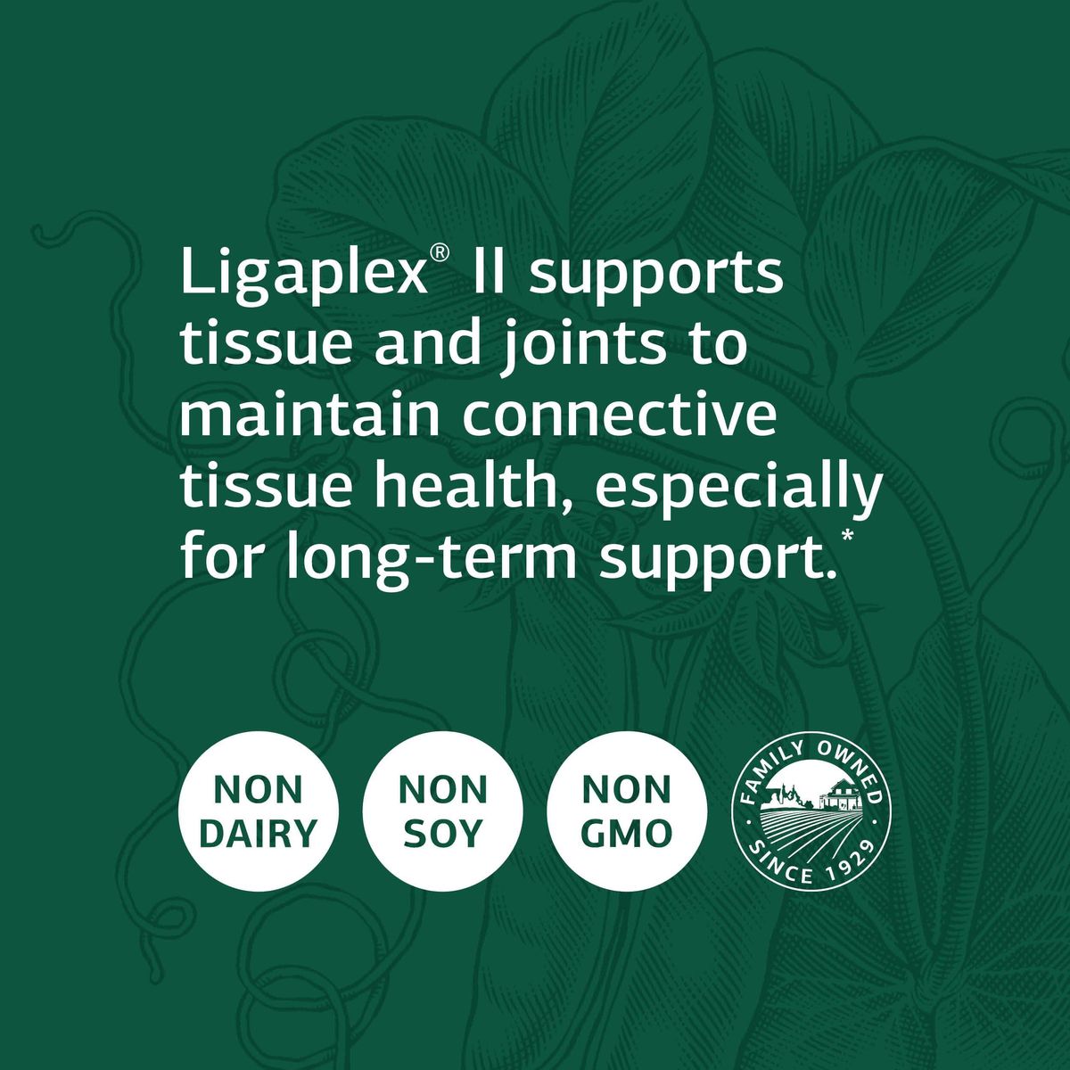 Standard Process Ligaplex II - Joint &amp; Bone Support Supplement - Manganese Supplement with Vitamin B12, Vitamin A &amp; Vitamin D - Skeletal System &amp; Joint Support Supplement - 150 Capsules