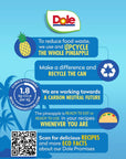 Dole Canned Fruit Pineapple Chunks in 100 Pineapple Juice Gluten Free Pantry Staples 20 Oz 12 Count Packaging May Vary