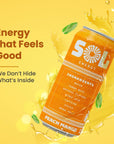 Sol Energy  Natural Energy Drink  Healthy Sugar Free Formula  Naturally Sweetened with Stevia and Monk Fruit  150mg of Caffeine  Low Calorie  Peach Mango Flavor  16oz cans Pack of 12