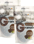 Grandma Emily GrainFree Chocolate Breakfast Granola Cereal All Natural Dark Chocolate 11 g Protein 9 ounces Pack of 2