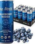 Tea North Keto Carbonated Iced Tea - No Caffeine, Sugar, Sweeteners