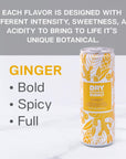 DRY NonAlcoholic Botanical Bubbly Ginger  Sparkling and ready to sip or Use as a Mocktail Mixer Less Sweet All Natural Ingredients NonGMO  Sophisticatedly zeroproof 12 Fl Oz Pack of 12