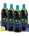 Tahitian Noni Juice by Morinda  Original and Authentic Noni Fruit Puree with Natural Blueberry  Grape Resveratrol  Invigorating Daily Superfood Drink for Enhanced Vitality  4x1L BottlesCase