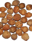 IndianStore4All Small Coconut 11 Pcs Laxmi Laghu Narilyal