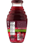 Beetology Organic Beet and Cherry Juice 845oz 6 Pack  100 Cold Pressed  Heart Healthy  Nutrient Packed Vegetable Juice  Vibrant Flavor