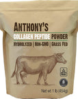 Anthony's Collagen Peptide Powder, 1 lb, Pure Hydrolyzed, Gluten Free, Keto and Paleo Friendly, Grass Fed, Unflavored, Non GMO