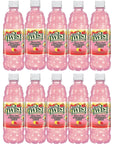 BEEQ BOX  PACK OF 10 Natures Twist SugarFree Strawberry Lemon 69 fl oz