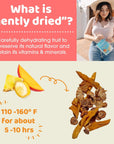 Peeled Snacks Organic Dried Fruit, Paradise Blend with Dried Mango, Pineapple and Banana, 2.8 oz. - Healthy, Vegan Snacks for On-the-Go, Lunch and More