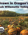 Wilderness Poets Oregon Pumpkin Seeds  Organic Heirloom Raw  No Shells No Salt Bulk Size 32 Ounce  2 Pound