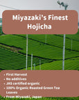 Miyazakis Finest Organic Hojicha Loose Leaf tea  JAS Certified NonGMO Noadditives Authentic Japanese Origin 100 Pure Premium Hojicha roasted green tea leaves 10 gram travel size bag 10 gram travel size bag