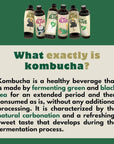 Kombucha Tea Organic Drink I'm Alive - 4 Flavor