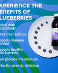 Dynamic Health Blueberry Concentrate 100 Concentrate Unsweetened No Additives Brain Function Antioxidant Support Vegan Gluten Free NonGMO 16 Fl oz